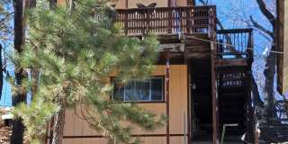 CABIN ARROWBEAR FURNISHED OR NOT Gallery 1