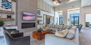 Ariza Scott BLVD Gallery 5