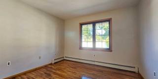 27 Whitaker Avenue Gallery 14