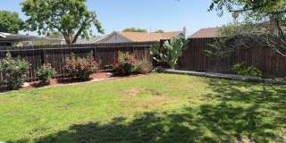 24245 Powell Place Gallery 3