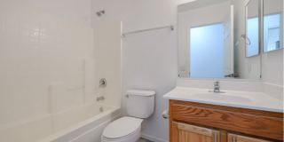 23928 West Desert Bloom Street Gallery 18