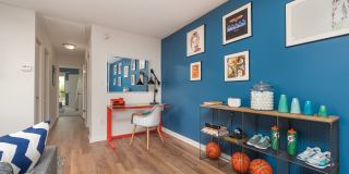 Cedar Place Gallery 13