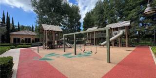 80 Cipresso Gallery 36