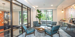 Altair at the Heights Gallery 9