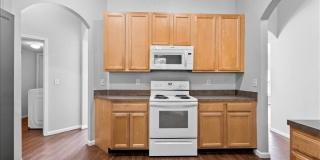 8871 CANOPY OAKS Drive Gallery 18