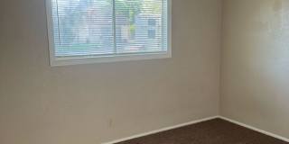 Single Level 3 Bedroom Home. Gallery 9