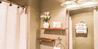 Cozy Gem,Dog-Friendly, Near Outdoor Escapes Gallery 19