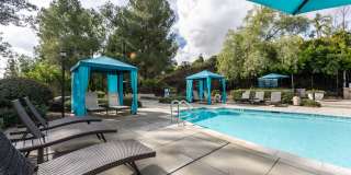 Alta Vista Gallery 17