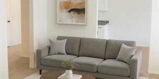 Ivy Lane Villas Gallery 4