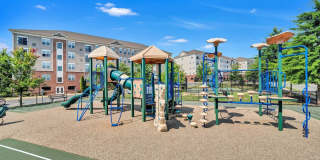 Reid's Prospect Gallery 19