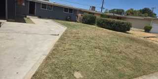 Cute Home Ready For New Tenant In Great Area! Gallery 1