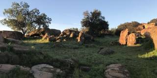 8808 CHATLAKE Dr Gallery 25