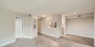 Spectra at Tamarac Gallery 20