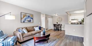 The Orion Apartments Gallery 5
