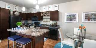 Waterline Estero Gallery 22