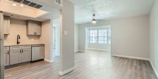 Rise Spring Pointe Gallery 21