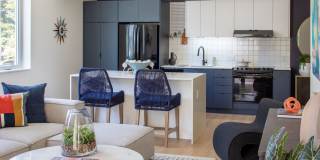 The Frankie The Frankie Gallery 1