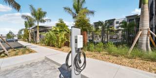 The Concord Gallery 20