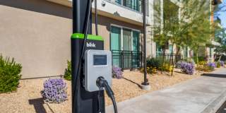 Bask Deer Valley Gallery 31