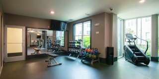 One 305 Central Gallery 20