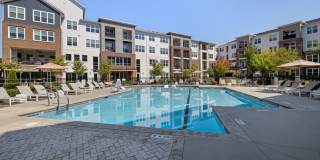 Alta Wren Gallery 43