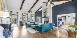 The Park on Forum Gallery 6