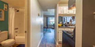 Retreat at Candelaria Gallery 14