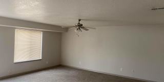 7297 N Calamonte Lane Gallery 2