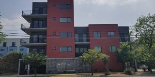 East Austin 2 Bed 2 Bath Condo with Flex Room! Gallery 3