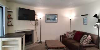 Midtown Furnished 1 Bedroom Gallery 10