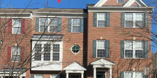 9823 DARCY FOREST Drive Gallery 32