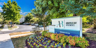 Annapolis Bay Gallery 1