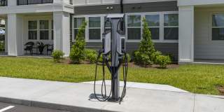 Harper Grove Gallery 30