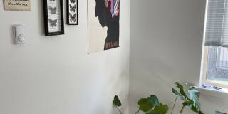 1211 Jersey St Gallery 92
