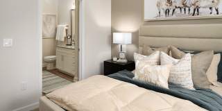 Aura Creekside Gallery 8