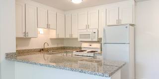 Northrop Woods Gallery 1