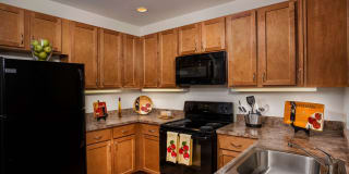 Evergreens at Laurel Gallery 4