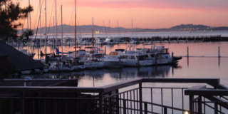 Sunny Studio in Resort Setting on the Bay 15 minutes from SF Gallery 35