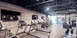 The Wayland Gallery 14