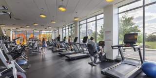 Continuum Gallery 13