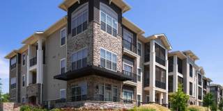 Silver Collection at The Park Gallery 2