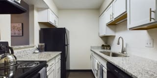 Emerson Village Gallery 1