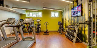 Juxt Gallery 5