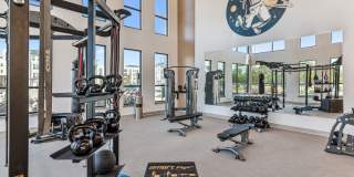 Mosby at Bridge Street Gallery 16