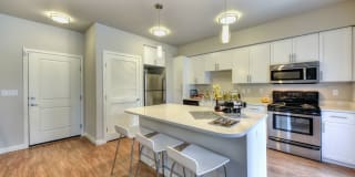 Madison Bellevue Gallery 2