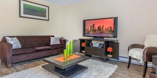 Carrington Gallery 42