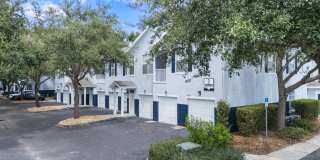 RiverTree Gallery 26