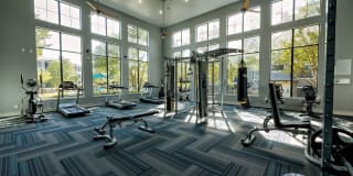 Ascent North Gallery 27