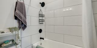 732 Lamar StreetUnit 1 Gallery 10