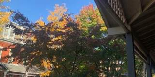 Amazing 2 bed 2 bath Near Cooper Hospital Gallery 4